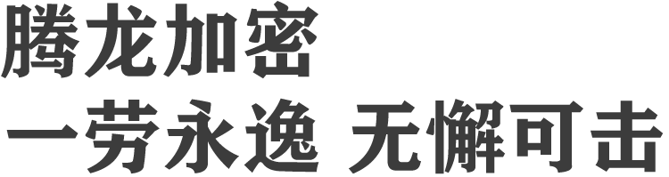 腾龙视频加密
