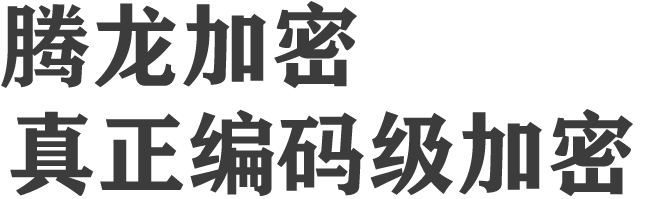 腾龙视频加密