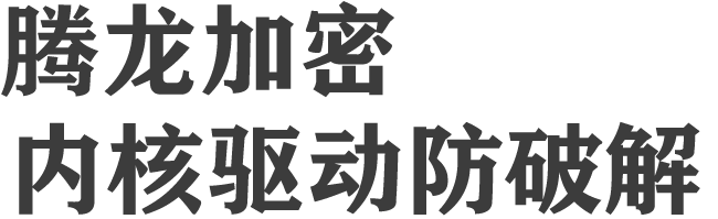 腾龙视频加密
