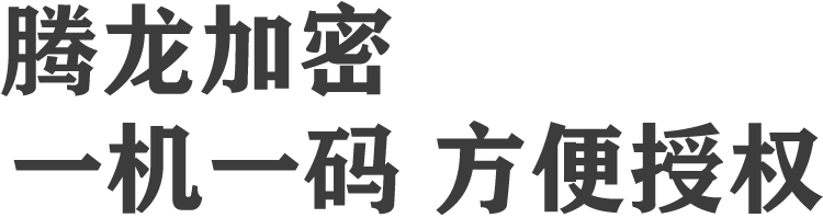 腾龙视频加密