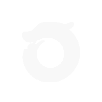 下载腾龙视频加密系统